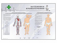 Электрифицированный стенд "Остановка кровотечения" - fgospostavki.ru - Саратов