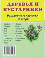 Раздаточные карточки "Деревья и кустарники" - fgospostavki.ru - Саратов
