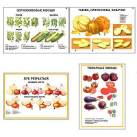 Плакаты ПРОФТЕХ "Ассортимент овощных культур" (12 пл, винил, 70х100) - fgospostavki.ru - Саратов