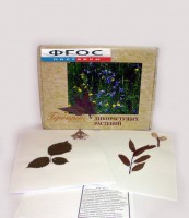 Гербарий "Дикорастущие растения" (28 видов) - fgospostavki.ru - Саратов