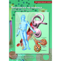 Интерактивные плакаты. Биология человека. Программно-методический комплекс - fgospostavki.ru - Саратов