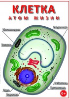 DVD "Клетка - "атом жизни" - fgospostavki.ru - Саратов