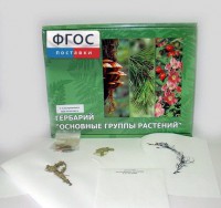 Гербарий "Основные группы растений" (52 листа) - fgospostavki.ru - Саратов