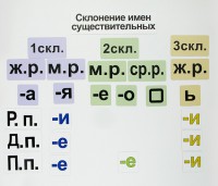 Набор магнитных карточек "Склонение имен существительных" - fgospostavki.ru - Саратов