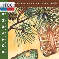 Ботаника. Микрофотографии. (Цифровая база изображений) - fgospostavki.ru - Саратов