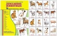 Демонстрационные карточки "Домашние животные" - fgospostavki.ru - Саратов