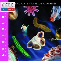 Биология. Микрофотографии. (Цифровая база изображений) - fgospostavki.ru - Саратов