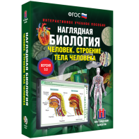 Наглядная биология. 8 - 9 классы. Человек. Строение тела человека - fgospostavki.ru - Саратов