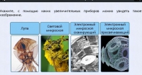 Интерактивные курсы. Биология 5 класс. Расширенный - fgospostavki.ru - Саратов