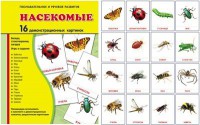 Демонстрационные карточки "Насекомые" - fgospostavki.ru - Саратов