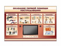 Многофункциональный интерактивный стенд-тренажер "Оказание первой помощи пострадавшим" для учащихся общеобразовательных учреждений - fgospostavki.ru - Саратов