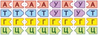 Модель-аппликация Удвоение ДНК и транскрипция РНК - fgospostavki.ru - Саратов