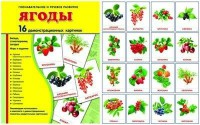 Демонстрационные карточки "Ягоды" - fgospostavki.ru - Саратов