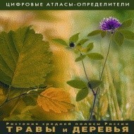 Растения средней полосы России "Травы и Деревья". (Цифровые атласы-определители) - fgospostavki.ru - Саратов