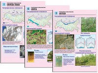 Комплект таблиц по географии "Природные зоны России" раздаточные (цветные, ламинированные, А4, 10 штук) - fgospostavki.ru - Саратов
