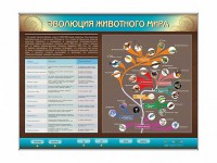 Интерактивный электрифицированный стенд "Эволюция животного мира" - fgospostavki.ru - Саратов