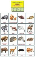 Раздаточные карточки "Дикие животные (1)" - fgospostavki.ru - Саратов