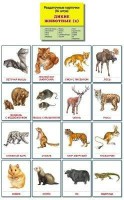 Раздаточные карточки "Дикие животные (2)" - fgospostavki.ru - Саратов