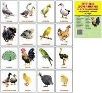 Раздаточные карточки "Птицы домашние и декоративные" - fgospostavki.ru - Саратов