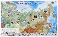 Магнитные карточки "Животные" - fgospostavki.ru - Саратов