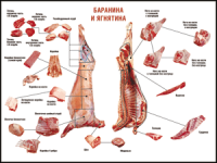 Таблица "Правила разделки мясных туш. Баранина и ягнятина" (100х140 сантиметров, винил) - fgospostavki.ru - Саратов