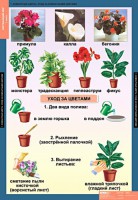 Комплект таблиц. Окружающий мир 1 класс. - fgospostavki.ru - Саратов