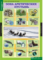 Комплект таблиц. Окружающий мир 4 класс. - fgospostavki.ru - Саратов