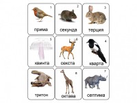 Набор магнитных карточек по музыке "Животные" (9 штук) - fgospostavki.ru - Саратов