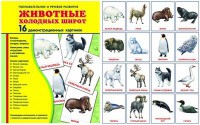 Демонстрационные карточки "Животные холодных широт" - fgospostavki.ru - Саратов