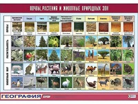 Таблица демонстрационная "Почвы, растения и животные природных зон" (винил 70*100) - fgospostavki.ru - Саратов