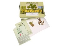 Гербарий "Для начальной школы" (30 видов, с иллюстрациями) - fgospostavki.ru - Саратов