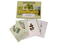 Гербарий "Деревья и кустарники" (22 вида, с иллюстрациями) - fgospostavki.ru - Саратов