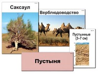 Модель-аппликация "Природные зоны России" (ламинированная) - fgospostavki.ru - Саратов