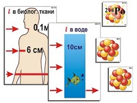 Модель-аппликация "Явление радиоактивности" (ламинированная) - fgospostavki.ru - Саратов