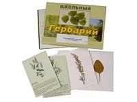 Гербарий "Лекарственные растения" (22 вида с иллюстрациями) - fgospostavki.ru - Саратов