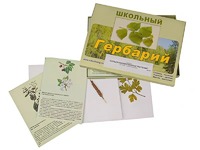 Гербарий "Сельскохозяйственные растения" (30 видов, с иллюстрациями) - fgospostavki.ru - Саратов