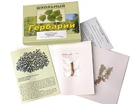 Гербарий "Водоросли. Грибы. Лишайники" (раздаточный) - fgospostavki.ru - Саратов