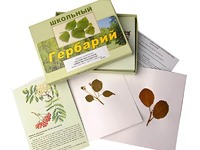 Гербарий "Систематика растений. Семейство Розоцветные" (раздаточный) - fgospostavki.ru - Саратов