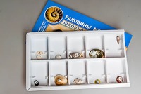 Коллекция "Раковины моллюсков" - fgospostavki.ru - Саратов