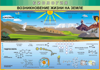 Таблица "Возникновение жизни на земле" (100х140 сантиметров, винил) - fgospostavki.ru - Саратов