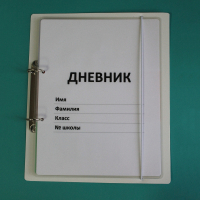 Дневник школьника (с полным набором карточек) - fgospostavki.ru - Саратов