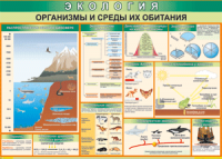 Таблица "Организмы и среды их обитания" (100х140 сантиметров, винил) - fgospostavki.ru - Саратов
