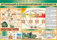 Таблица "Организация и функционирование сообществ" (100х140 сантиметров, винил) - fgospostavki.ru - Саратов