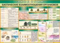 Таблица "Биотические взаимоотношения организмов" (100х140 сантиметров, винил) - fgospostavki.ru - Саратов