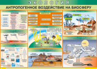 Таблица "Антропогенное воздействие на биосферу" (100х140 сантиметров, винил) - fgospostavki.ru - Саратов
