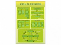 Стенды "Схемы по экономике" - fgospostavki.ru - Саратов