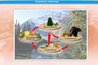 Интерактивные курсы. Биология 7 класс. Базовый. - fgospostavki.ru - Саратов