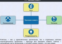 Интерактивные курсы. Биология 5 класс. Базовый - fgospostavki.ru - Саратов