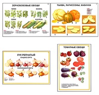 Плакаты ПРОФТЕХ "Ассортимент овощных культур" (12 пл, винил, 70х100) - fgospostavki.ru - Саратов