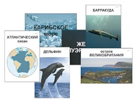 Модель-аппликация "Океаны. Знакомство" (ламинированная) - fgospostavki.ru - Саратов